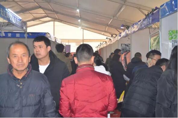 點(diǎn)擊打開原圖